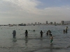 imga0541